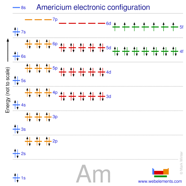 Kossel shell structure of americium