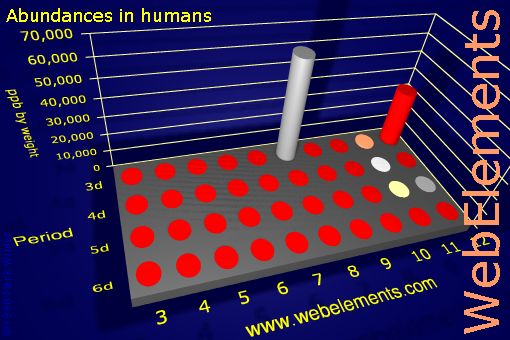 Image showing periodicity of abundances in humans (by weight) for the d-block chemical elements.