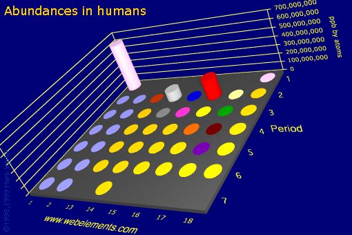 Image showing periodicity of abundances in humans (by atoms) for the s and p block chemical elements.