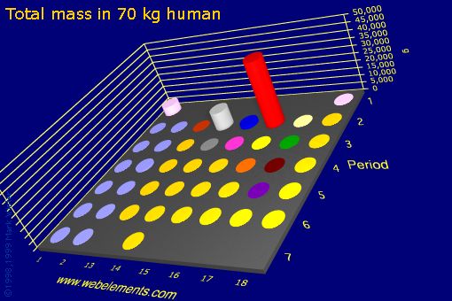 Image showing periodicity of total mass in 70 kg human for the s and p block chemical elements.