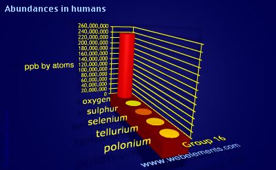 Image showing periodicity of abundances in humans (by atoms) for group 16 chemical elements.