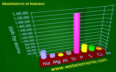 Image showing periodicity of abundances in humans (by atoms) for 3s and 3p chemical elements.