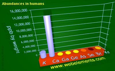 Image showing periodicity of abundances in humans (by weight) for 4s and 4p chemical elements.