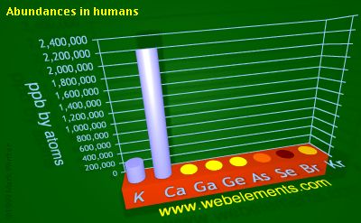 Image showing periodicity of abundances in humans (by atoms) for 4s and 4p chemical elements.