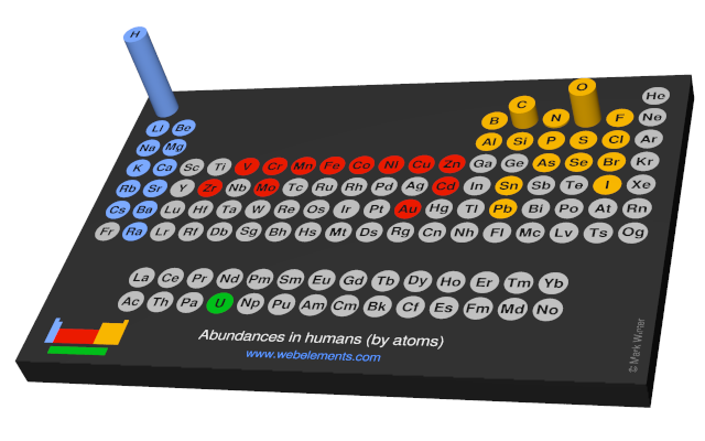 Image showing periodicity of the chemical elements for abundances in humans (by atoms) in a 3D periodic table column style.