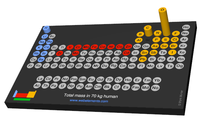 Image showing periodicity of the chemical elements for total mass in 70 kg human in a 3D periodic table column style.