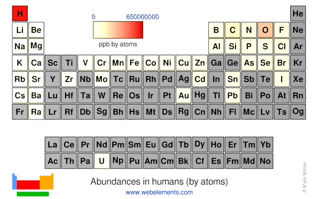 Image showing periodicity of the chemical elements for abundances in humans (by atoms) in a periodic table heatscape style.