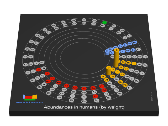 Image showing periodicity of the chemical elements for abundances in humans (by weight) in a 3D spiral periodic table column style.