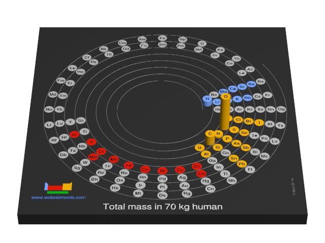 Image showing periodicity of the chemical elements for total mass in 70 kg human in a 3D spiral periodic table column style.